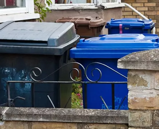 photo of wheelie bins outside a home