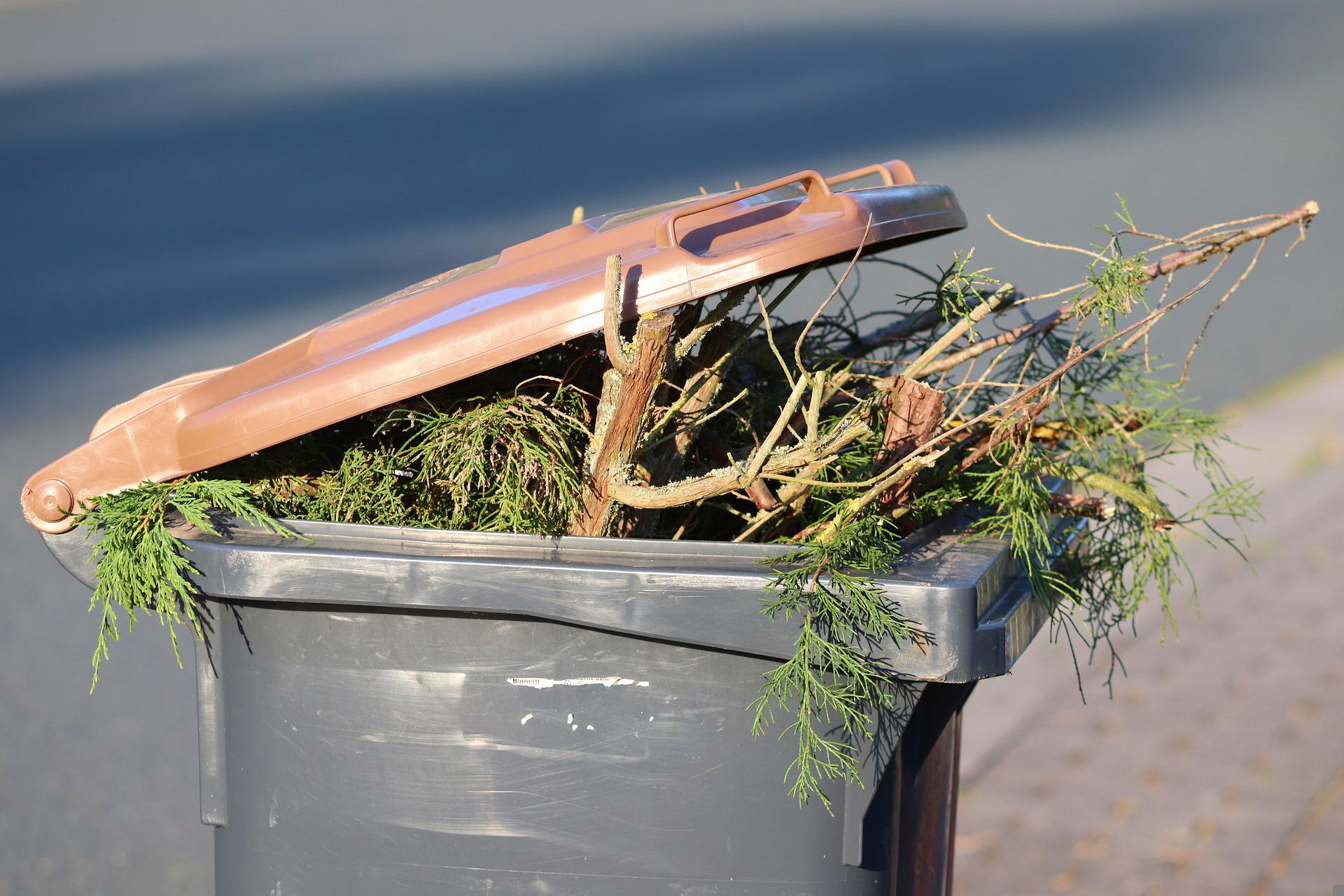 What Are The Types Of Waste Management?