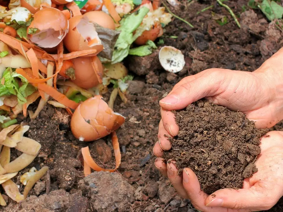 How is Garden Waste Disposed Of?
